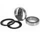 SPEEDYMOTO DUCATI TAPERED BEARINGS KIT