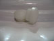 PBR NYLON HEAD REPLACEMENT FOR 41MM FRAME SLIDERS IN WHITE